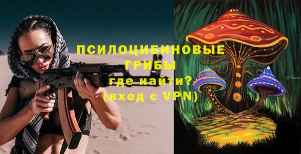 ECSTASY Чердынь