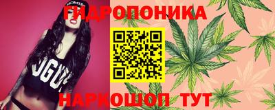 стафф Апшеронск