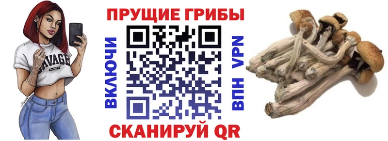 Галлюциногенные грибы мицелий  Южноуральск 