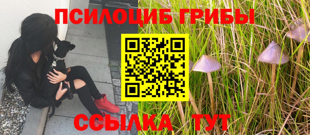 Псилоцибиновые грибы ЛСД  Вход с VPN  Южноуральск 